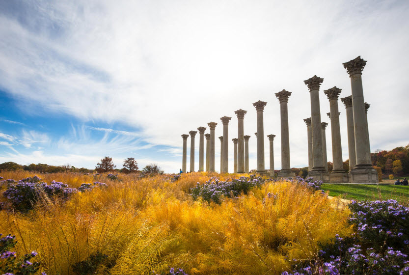 United States National Arboretum, United States